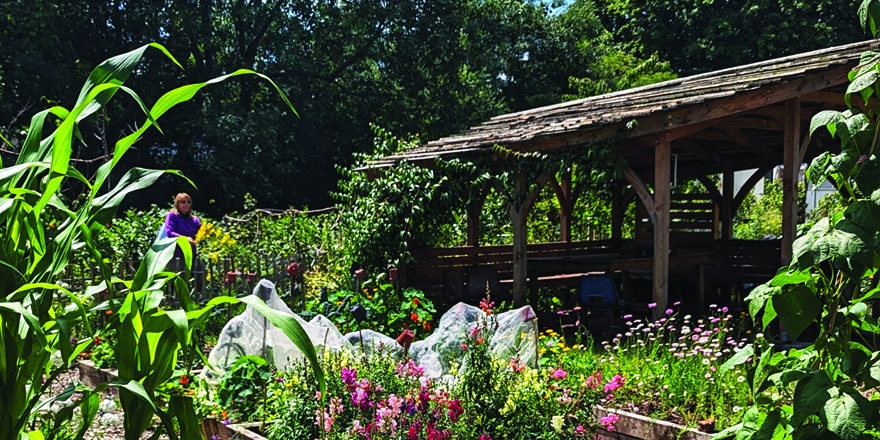 BS3 beyond 2025 – PARKS MEETING NOTES